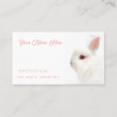 Search for white dwarf Rabbit