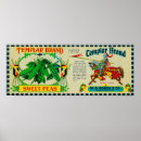 Search for rapid posters Lantern