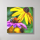 Search for pollination canvas prints Insects