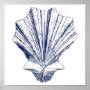 Search for scallops posters Nature