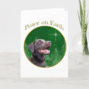 Search for chocolate lab christmas cards Dog