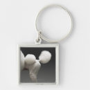 Search for mammals key rings White