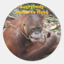 Search for dental stickers Care