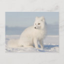 Search for coastal plain postcards Climate change