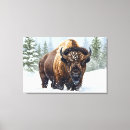 Search for bison canvas prints Wildlife