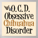 Search for dog breed posters Chihuahua