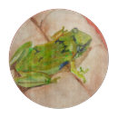 Search for tiny frog Cute animals