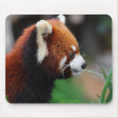 Search for red panda mouse mats China
