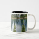 Search for revelstoke mugs Mountain
