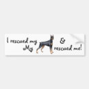 Search for doberman pinscher bumper stickers Dobermann
