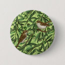 Search for olives badges Bird