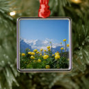 Search for meadow christmas tree decorations Mountain