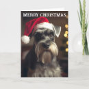 Search for miniature schnauzer christmas cards Dog