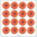 Search for gerbera daisy flower stickers Orange