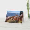 Search for mountain goat cards Mountains