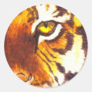 Search for eye of the tiger stickers Cat