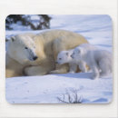 Search for downs mouse mats Snow