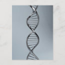 Search for genetics postcards Biology
