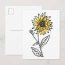 Search for sunflower postcards Botanical