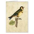 Search for neutral background postcards Animal