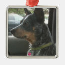 Search for blue heeler christmas tree decorations Dogs
