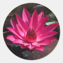 Search for kansas flower stickers North america