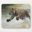 Search for bengal tiger mouse mats Nature