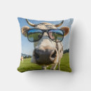 Search for cow cushions Livestock