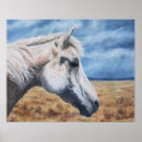 Search for arabians art Equine