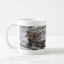 Search for mallard ducks mugs Animals