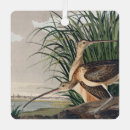 Search for audubon birds christmas tree decorations John james audubon