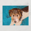 Search for wire postcards Dog