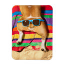 Search for dog butt magnets Cute