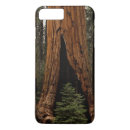 Search for redwood iphone cases Sequoia