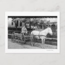 Search for pulling postcards Horse