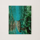 Search for ocean puzzles Picture
