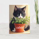 Search for fluffy kitten birthday cards Cute