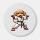 Search for martial magnets Jiu jitsu