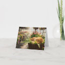 Search for funny note cards Cat