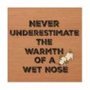 Search for cute quotes wood wall art Typography