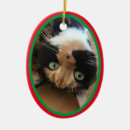 Search for tribute pet memorials Loss of pet