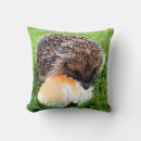 Search for hedgehog cushions Animals