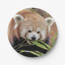 Search for panda plates Asia