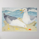 Search for seagull posters Rock