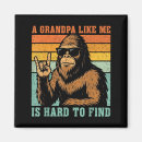 Search for are hard magnets Dad