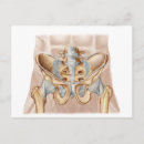 Search for joints postcards Illustration
