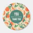 Search for orange fruit magnets Oranges
