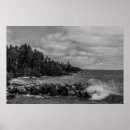 Search for superior posters Scenic