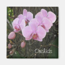 Search for orchids magnets Tropical