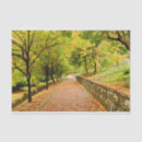 Search for autumn tissue paper Path